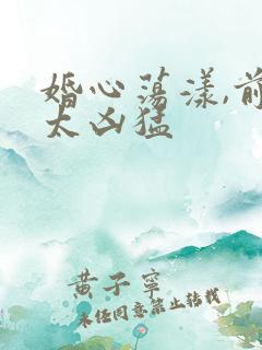 婚心荡漾,前夫太凶猛