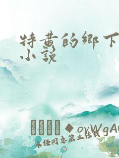 特黄的乡下仑乱小说