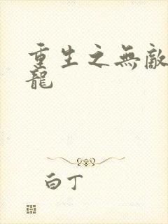 重生之无敌项少龙