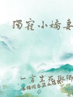独宠小娇妻