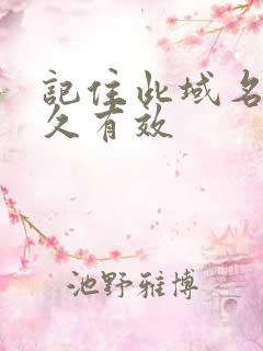 记住此域名记永久有效