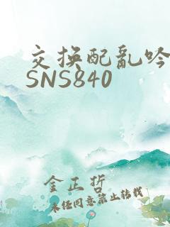 交换配乱吟粗大SNS840