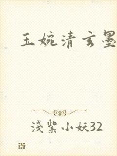 玉婉清玄墨小说