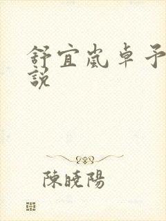 舒宜岚卓予淮小说