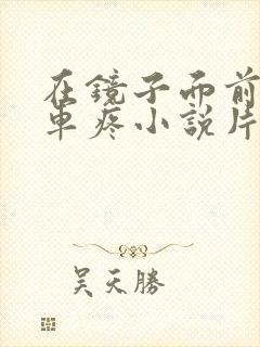 在镜子面前做开车疼小说片段