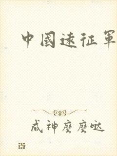 中国远征军下载