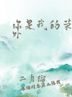 你是我的荣耀番外