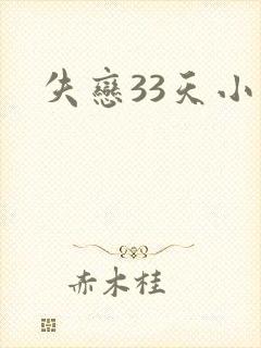 失恋33天小说