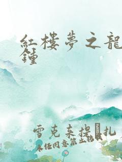 红楼梦之龙套秦钟