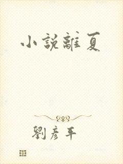 小说离夏