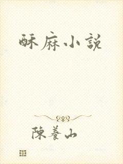 酥麻小说