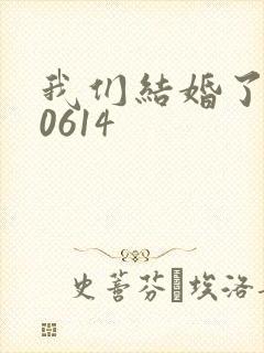 我们结婚了130614