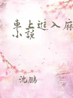 车上进入麻麻的小说