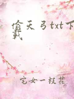 偷天弓txt下载