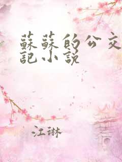 苏苏的公交车日记小说