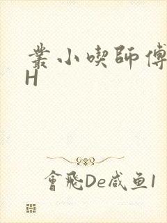 丛小吃师傅的HH