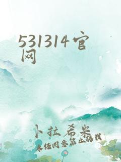 531314官网