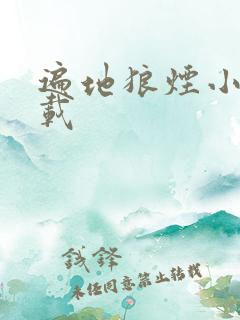 遍地狼烟小说下载