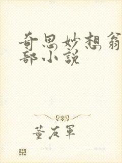 奇思妙想翁的全部小说