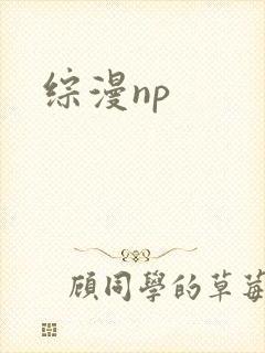 综漫np