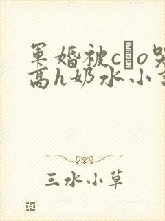 军婚被cαo哭高h奶水小说