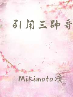 引用三帅哥