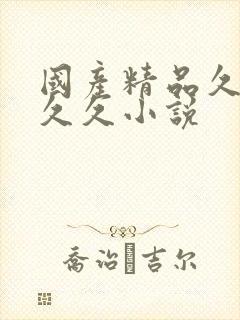 国产精品久久久久久小说