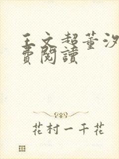 王文超董汐瑜免费阅读