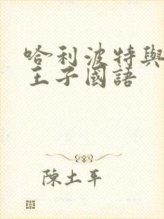 哈利波特与混血王子国语