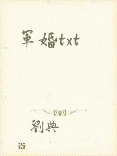 军婚txt
