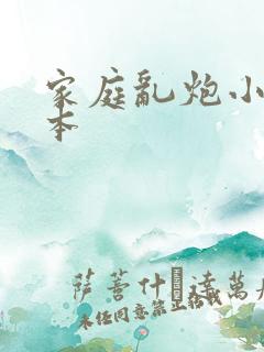 家庭乱炮小说全本