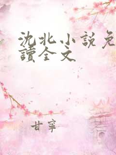 沈北小说免费阅读全文