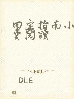 回家指南小说免费阅读