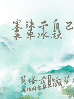 塞珠子自己排出来车冰秋