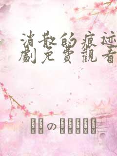 消散的痕迹电视剧免费观看完整版