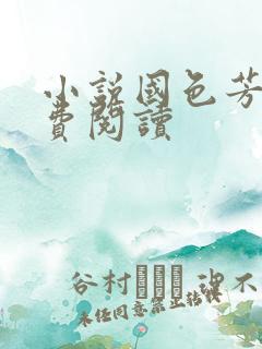 小说国色芳华免费阅读