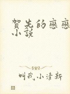 贺先的恋恋不忘小说