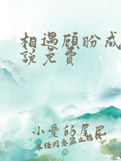 相遇顾盼成欢小说免费