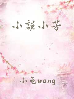 小说小芳