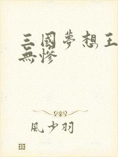 三国梦想王元姬无惨