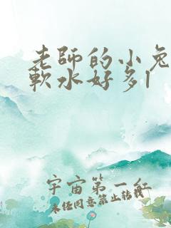 老师的小兔子好软水好多l