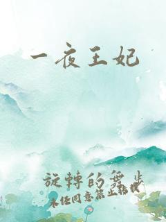 一夜王妃