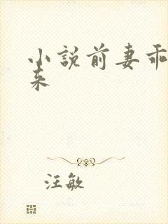 小说前妻乖乖回来