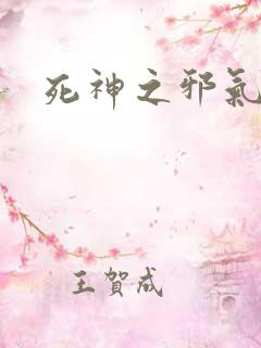 死神之邪气一护