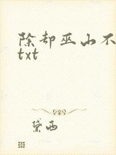 除却巫山不是云txt