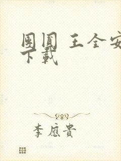 团圆 王全安 下载