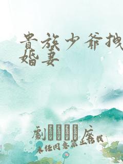 贵族少爷拽拽未婚妻