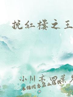 挽红楼之玉亦狂