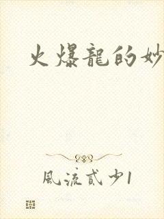 火爆龙的妙管家
