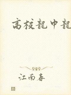 高校龙中龙